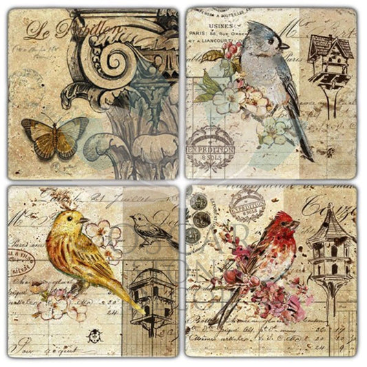 CATCHING BIRDS 4-Piece NATURAL STONE COASTERS / BA321 (COASTER)