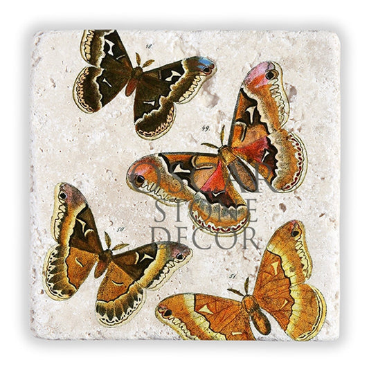 BUTTERFLY EFFECT NATURAL STONE WALL DECOR / DD331 (WALL DECOR)