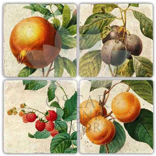 FRUITS ON THE BRANCH 4-Piece NATURAL STONE COASTERS / BA268 (COASTER)