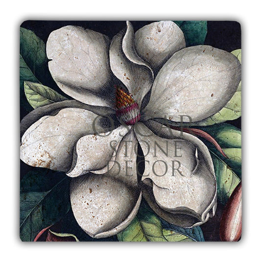 DD036-FOAM OF THE DAYS NATURAL STONE WALL DECOR / DD36 (WALL DECOR)