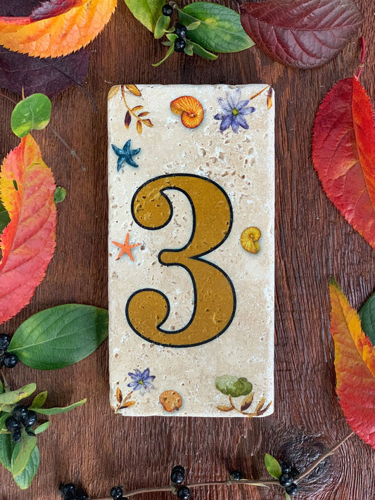 NATURAL STONE DOOR NUMBER, BROWN / 3 (DOOR NUMBER)