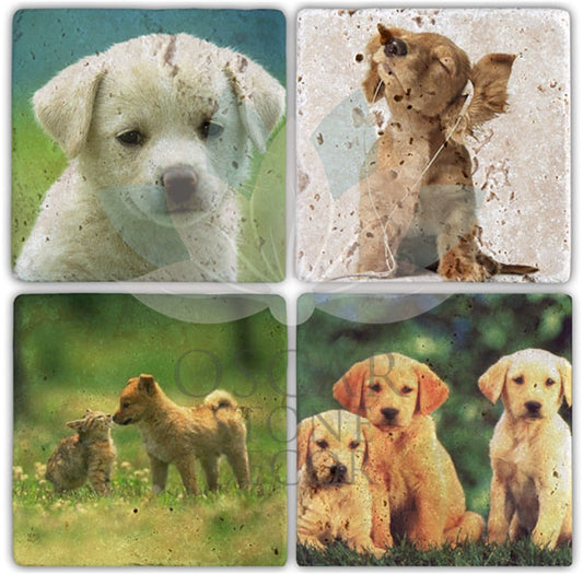 DOGS 4-Piece NATURAL STONE COASTERS / BA066 (COASTER)