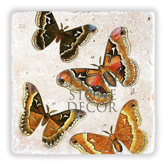 QUADRUPLE BUTTERFLY NATURAL STONE WALL DECOR / DD113 (WALL DECOR)