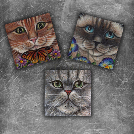 CATFACE NATURAL STONE MAGNET SET / MG-129