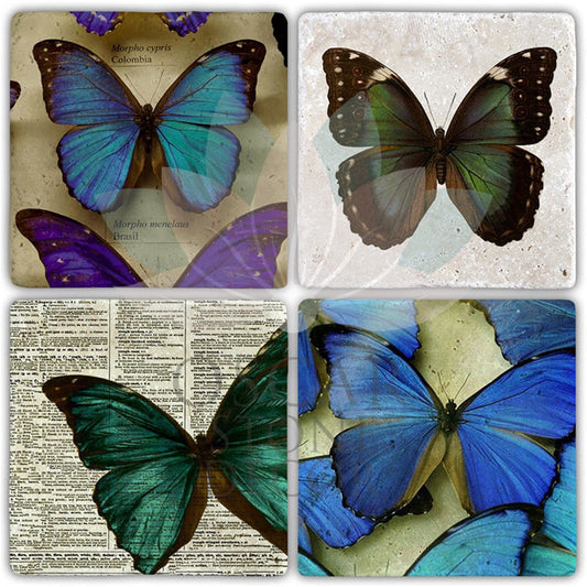 LIFE OF THE BUTTERFLY 4-Piece NATURAL STONE COASTERS / BA402 (COASTER)