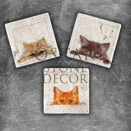 CURIOUS CATS NATURAL STONE MAGNET SET / MG-041