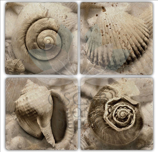 MUSSEL 4-Piece NATURAL STONE COASTERS / BA156 (COASTER)