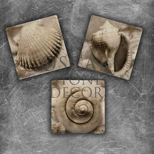 MUSSEL NATURAL STONE MAGNET SET / MG-056