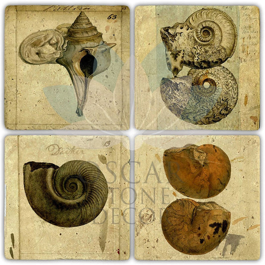 VINTAGE FOSSIL 4-Piece NATURAL STONE COASTERS / BA506 (COASTER)