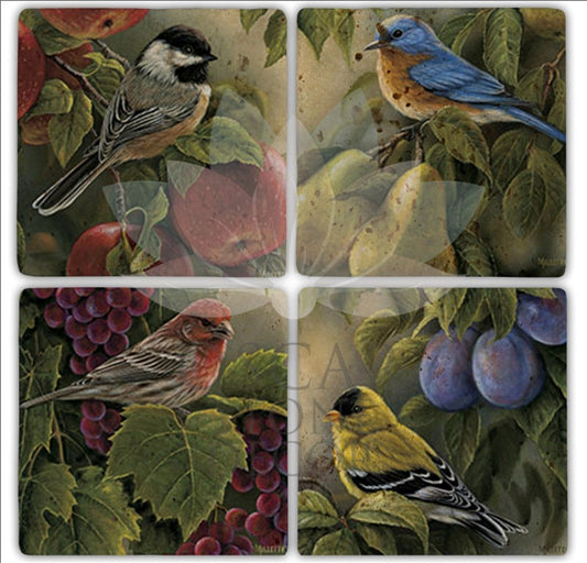 BIRD IN FRUIT 4-Piece NATURAL STONE COASTERS / BA180 (COASTER)
