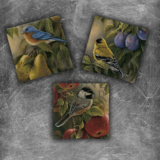 BIRD IN FRUIT NATURAL STONE MAGNET SET / MG-061