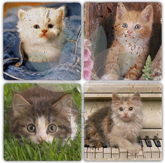 CAT 4-Piece NATURAL STONE COASTERS / BA018 (COASTER)