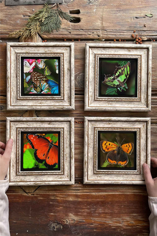 Framed Stone Painting Wall Decoration 8" x 8" Set of 4 Butterfly Butterfly Set