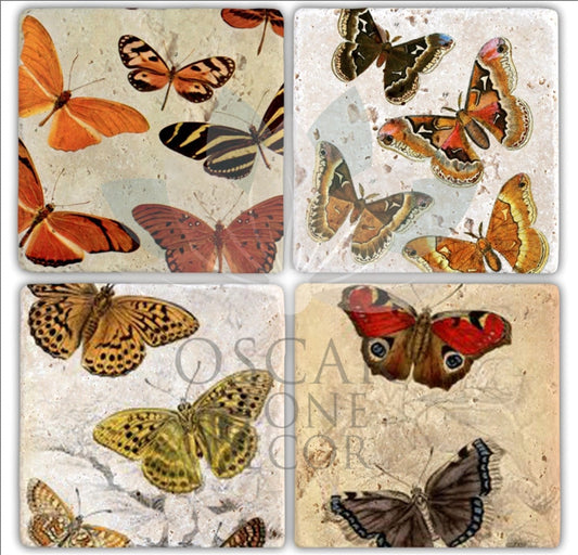 COLORFLY 4-Piece NATURAL STONE COASTERS / BA204 (COASTER)