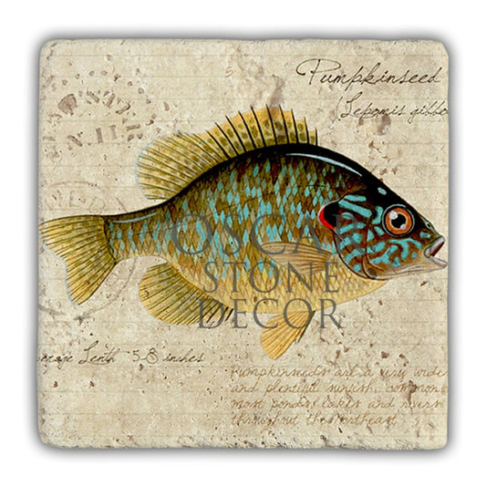 DD044-FISH NATURAL STONE WALL DECOR / DD44 (WALL DECOR)