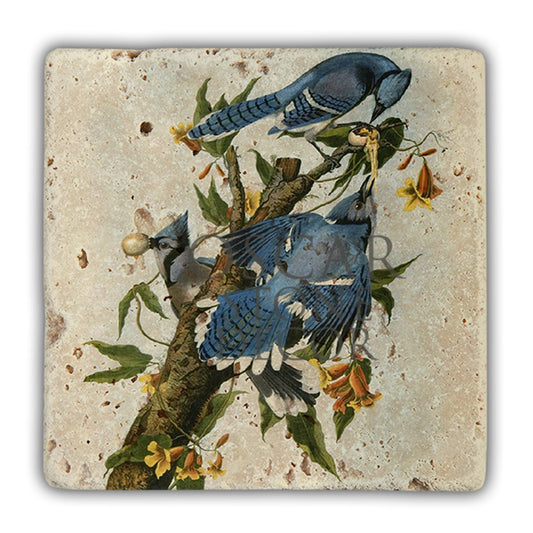 DD059-BABY BIRD NATURAL STONE WALL DECOR / DD59 (WALL DECOR)