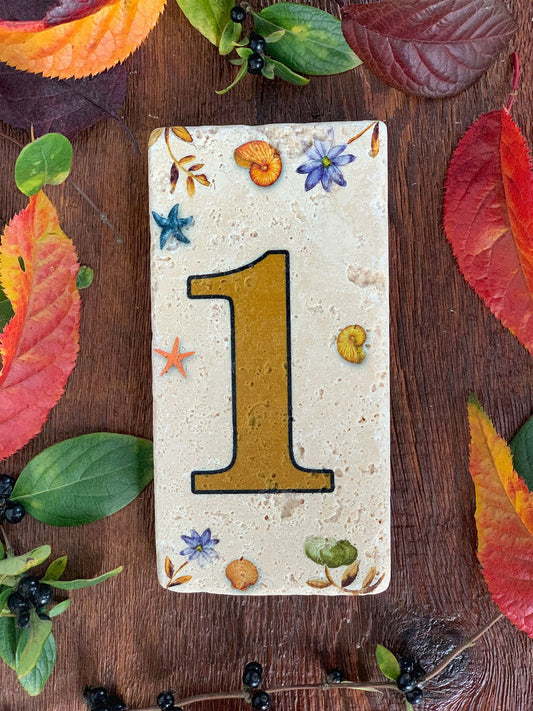 NATURAL STONE DOOR NUMBER, BROWN / 1 (DOOR NUMBER)