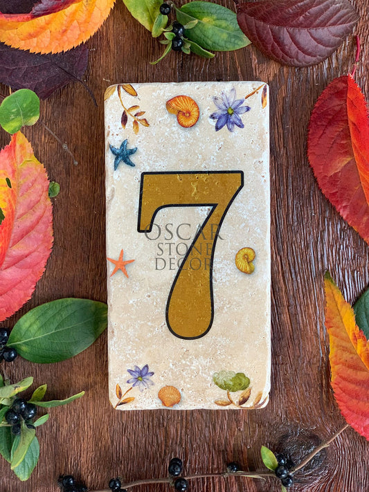 NATURAL STONE DOOR NUMBER, BROWN / 7 (DOOR NUMBER)