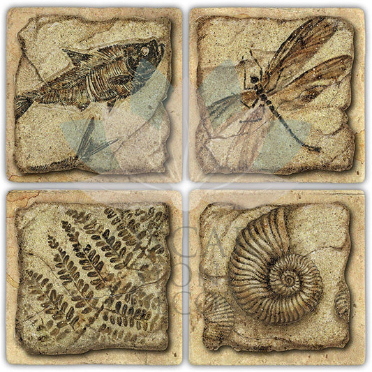 FOSSIL 4-Piece NATURAL STONE COASTERS / BA486 (COASTER)