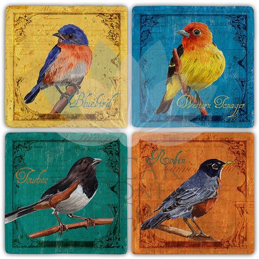 BIRD'S EYE VIEW 4-Piece NATURAL STONE COASTERS / BA448 (COASTER)