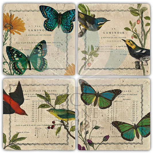 LAMINOR 4-Piece NATURAL STONE COASTERS / BA435 (COASTER)