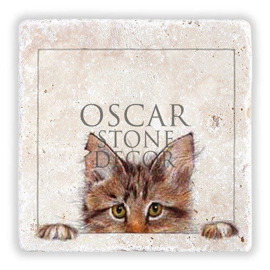 CURIOUS CAT NATURAL STONE WALL DECOR / DD172 (WALL DECOR)