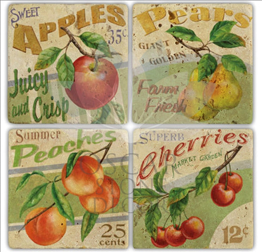 FRUITS 4-Piece NATURAL STONE COASTERS / BA168 (COASTER)