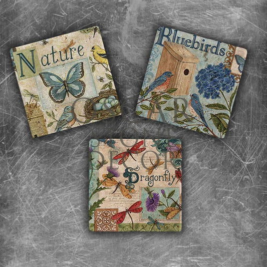 OLD BIRD NATURAL STONE MAGNET SET / MG-047