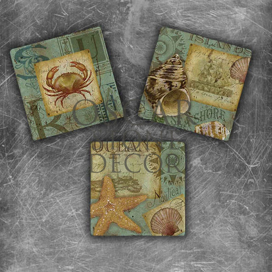 SEASHORE NATURAL STONE MAGNET SET / MG-058