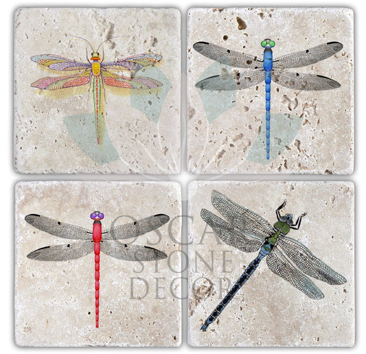 Dragonfly Set of 4 NATURAL STONE COASTERS / BA100 (COASTER)